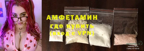 сатива Карпинск