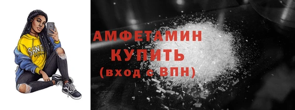 сатива Карпинск