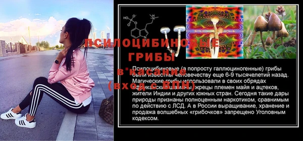 трава Касимов