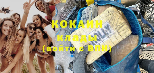 сатива Карпинск