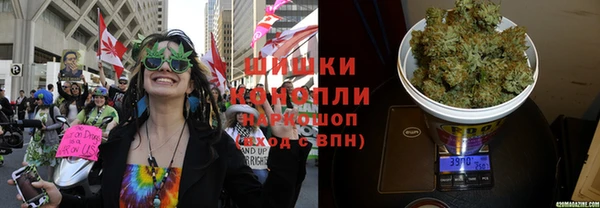 трава Касимов